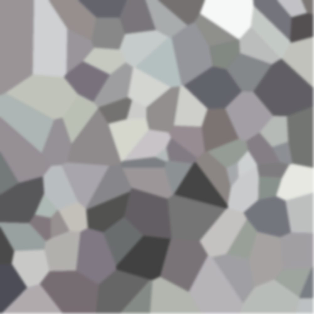 sub-FAST01 ses-01 trial-003 object-backpack voronoi