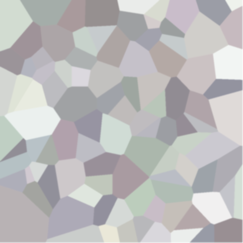 sub-TEST001 ses-imagrecon trial-009 object-cat voronoi