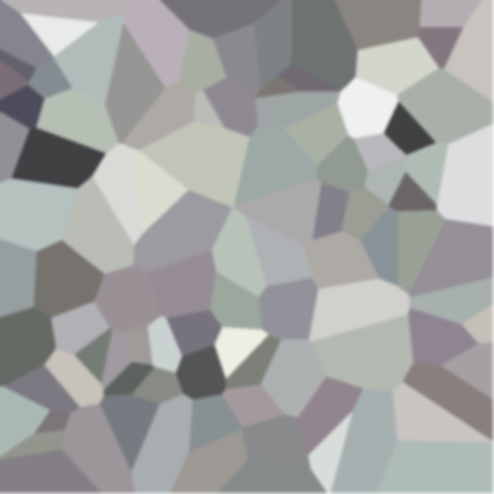 sub-testNEU260330 ses-behavior1 trial-001 object-mango voronoi