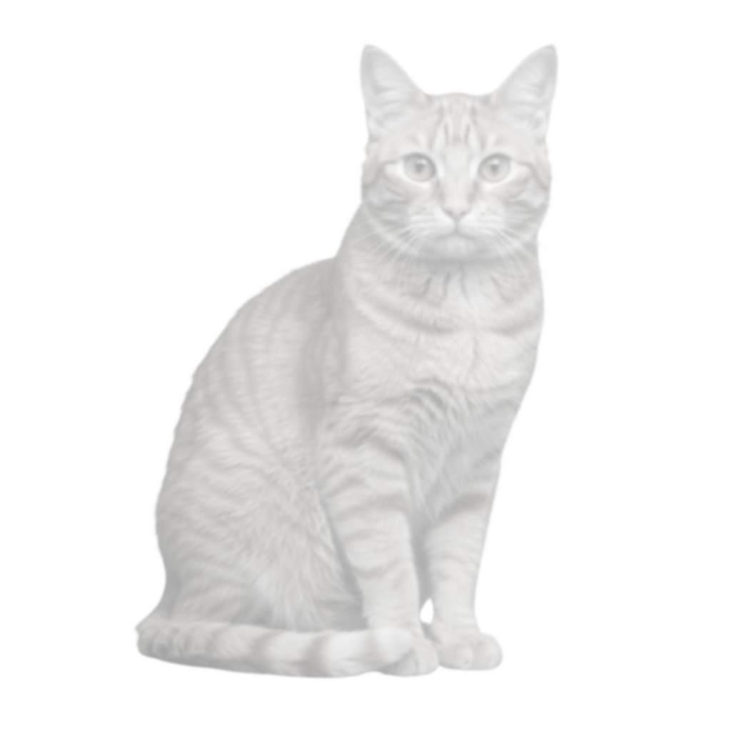 sub-AUTO07 ses-01 trial-003 object-cat adjusted