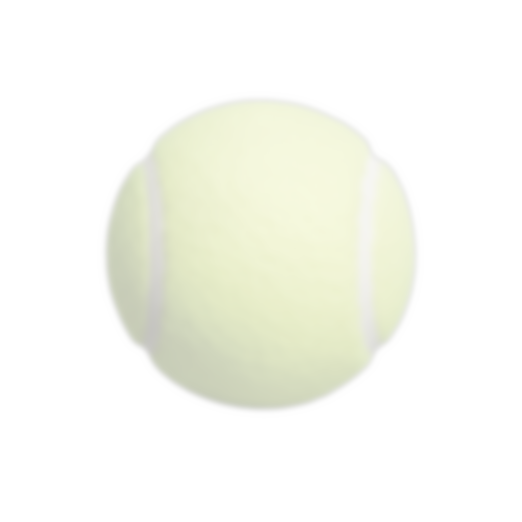 sub-DEBUG20260318 155110 ses-behavior1 trial-006 object-tennis ball adjusted