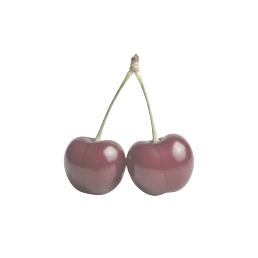 sub-DEBUG20260414 ses-behavior1 trial-002 object-cherries adjusted