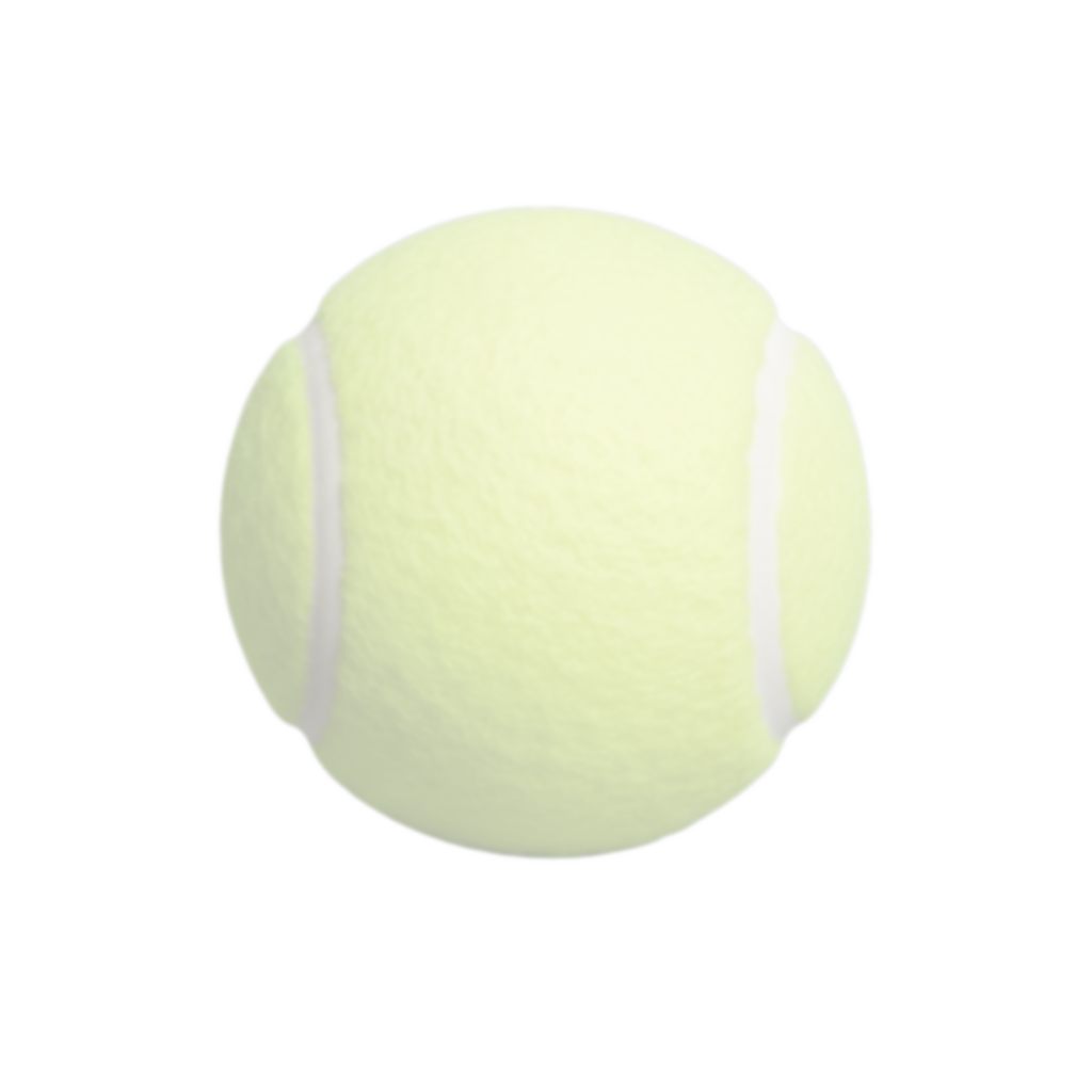 sub-NEU-pilot-01 ses-behavior1 trial-058 object-tennis ball adjusted