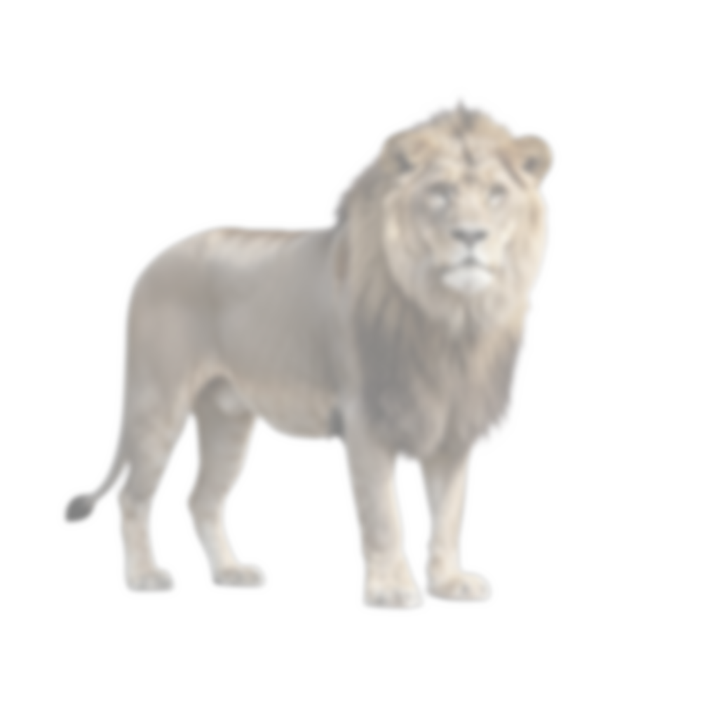 sub-NEU-test-01 ses-behavior1 trial-007 object-lion adjusted