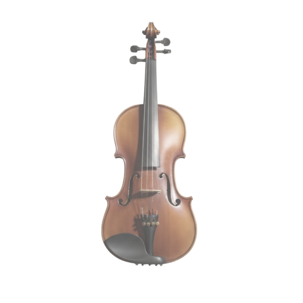 sub-NEU-test-01 ses-behavior1 trial-010 object-violin adjusted