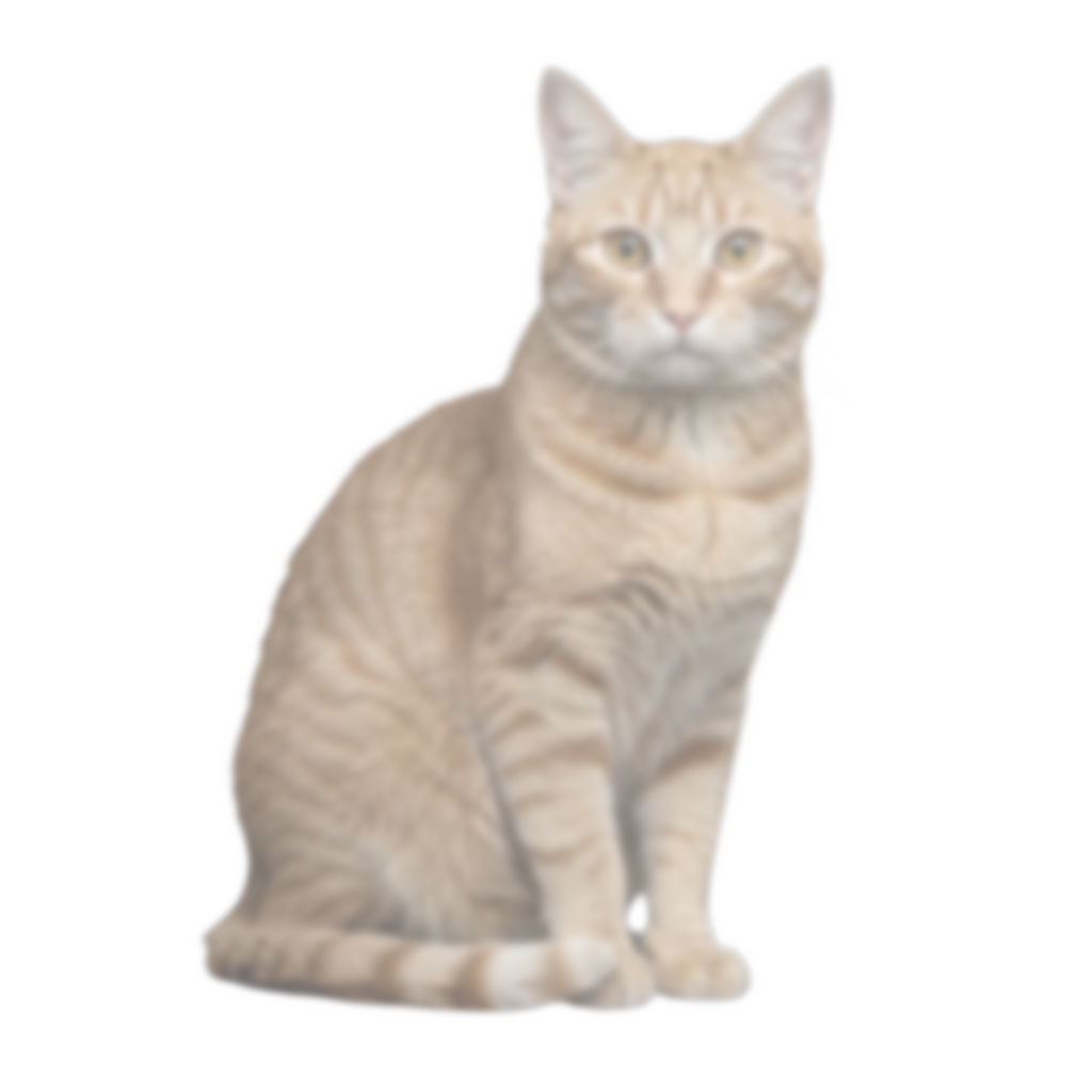 sub-NEU-test-01 ses-behavior1 trial-026 object-cat adjusted