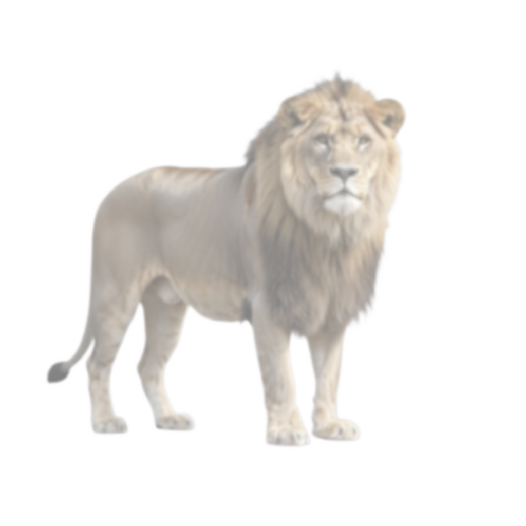 sub-NEU-test-01 ses-behavior1 trial-045 object-lion adjusted