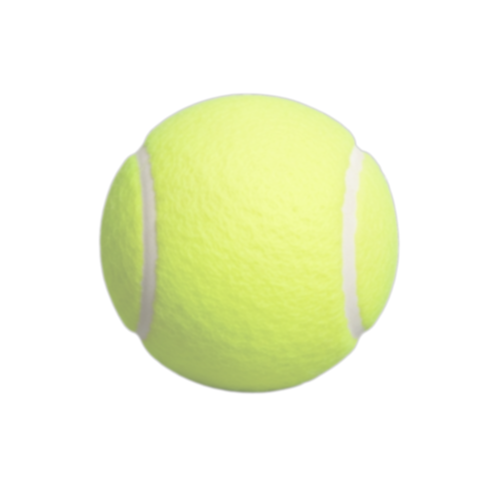 sub-NEU-test-02 ses-behavior1 trial-014 object-tennis ball adjusted