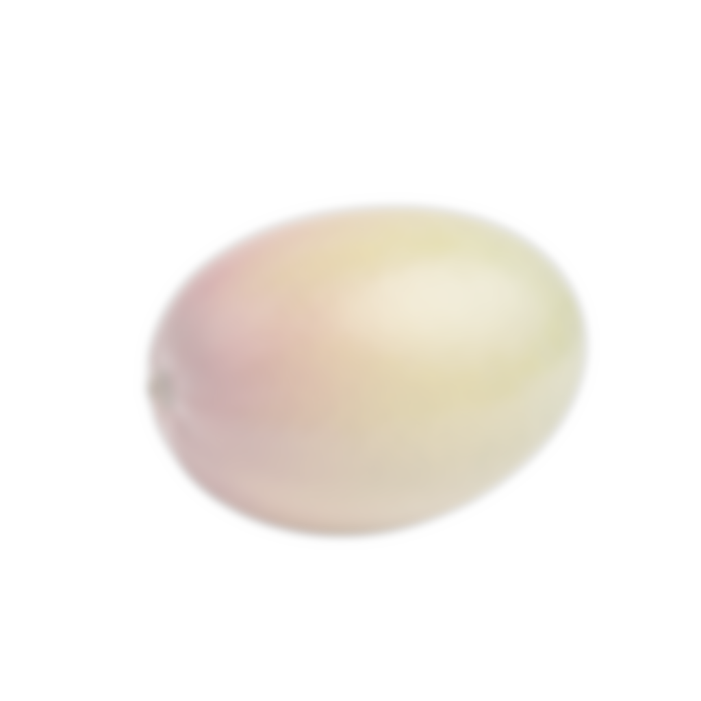 sub-NEU-test-03 ses-behavior1 trial-002 object-mango adjusted