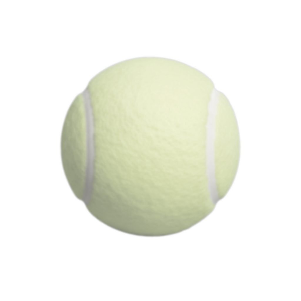 sub-NEU-test-03 ses-behavior1 trial-025 object-tennis ball adjusted