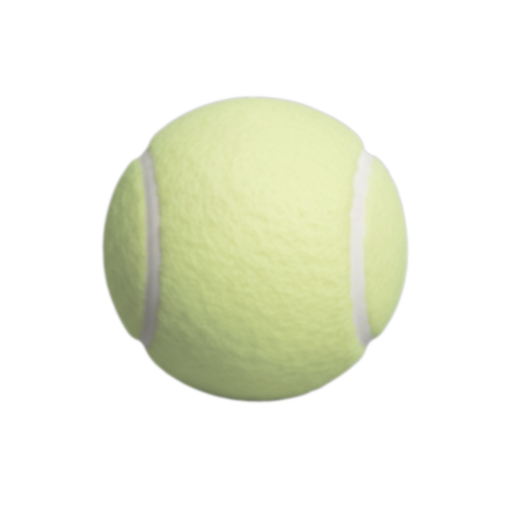 sub-NEU-test-03 ses-behavior1 trial-051 object-tennis ball adjusted