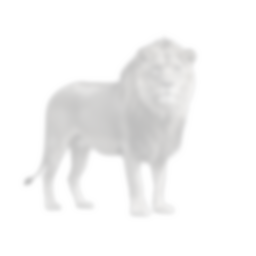 sub-TEST001 ses-imagrecon trial-003 object-lion adjusted